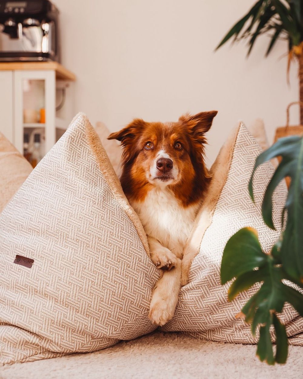 Post photo 3