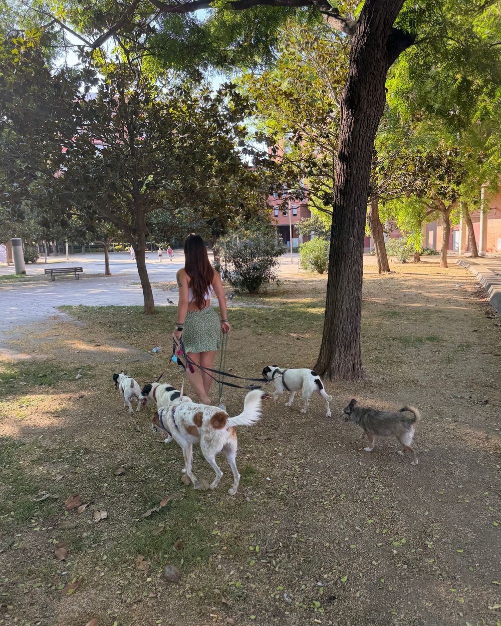 Post photo 6