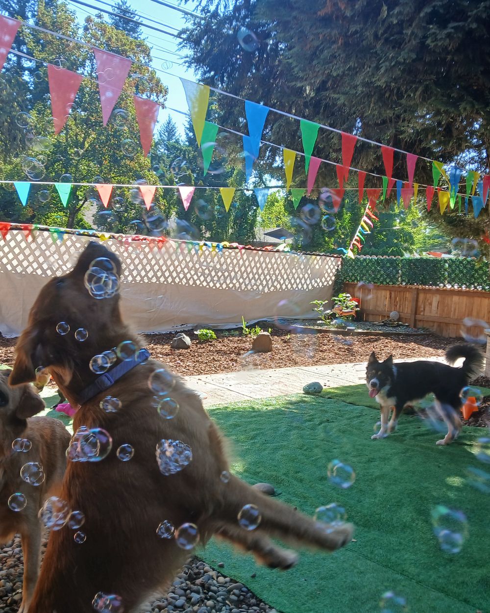Post photo 6