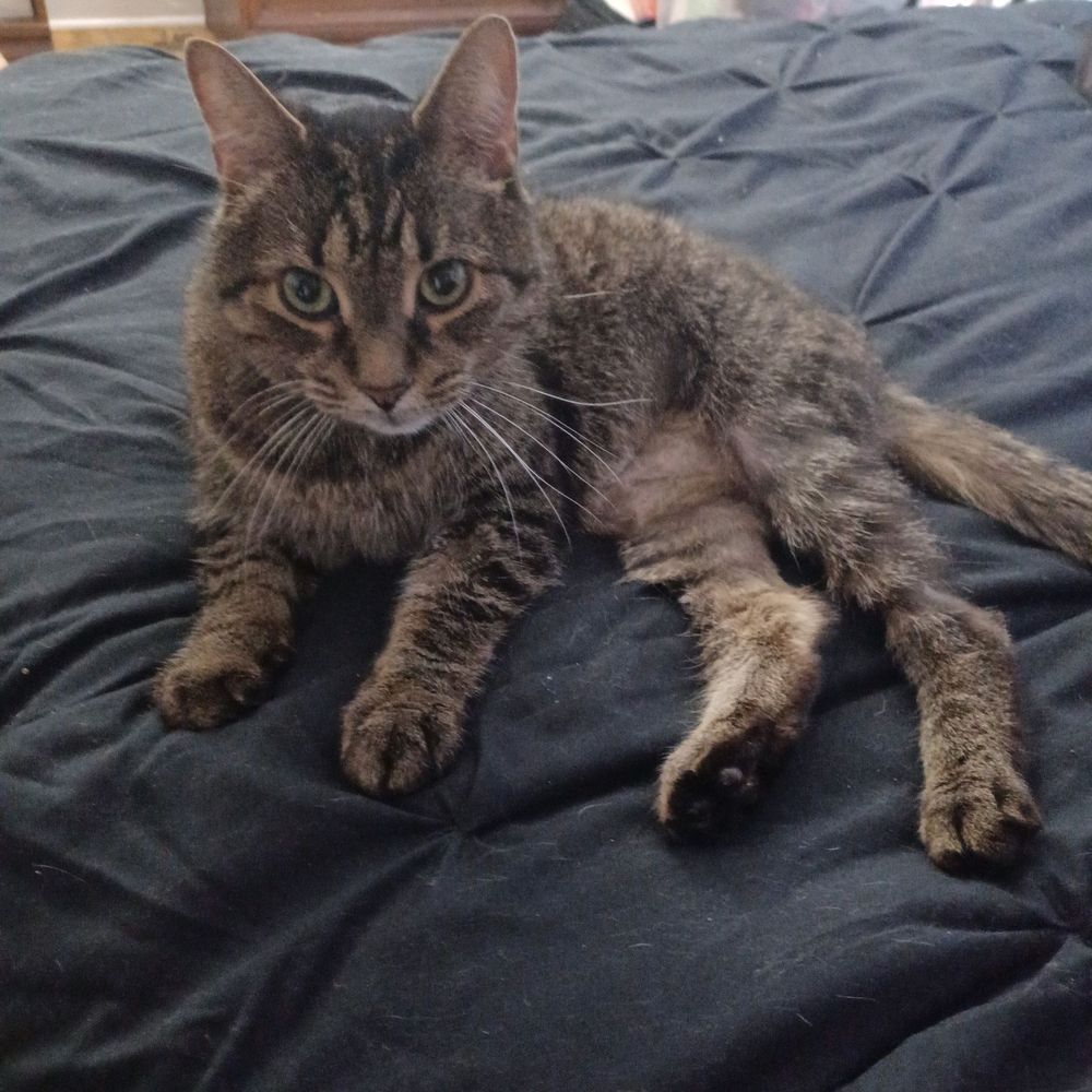 Post photo 3