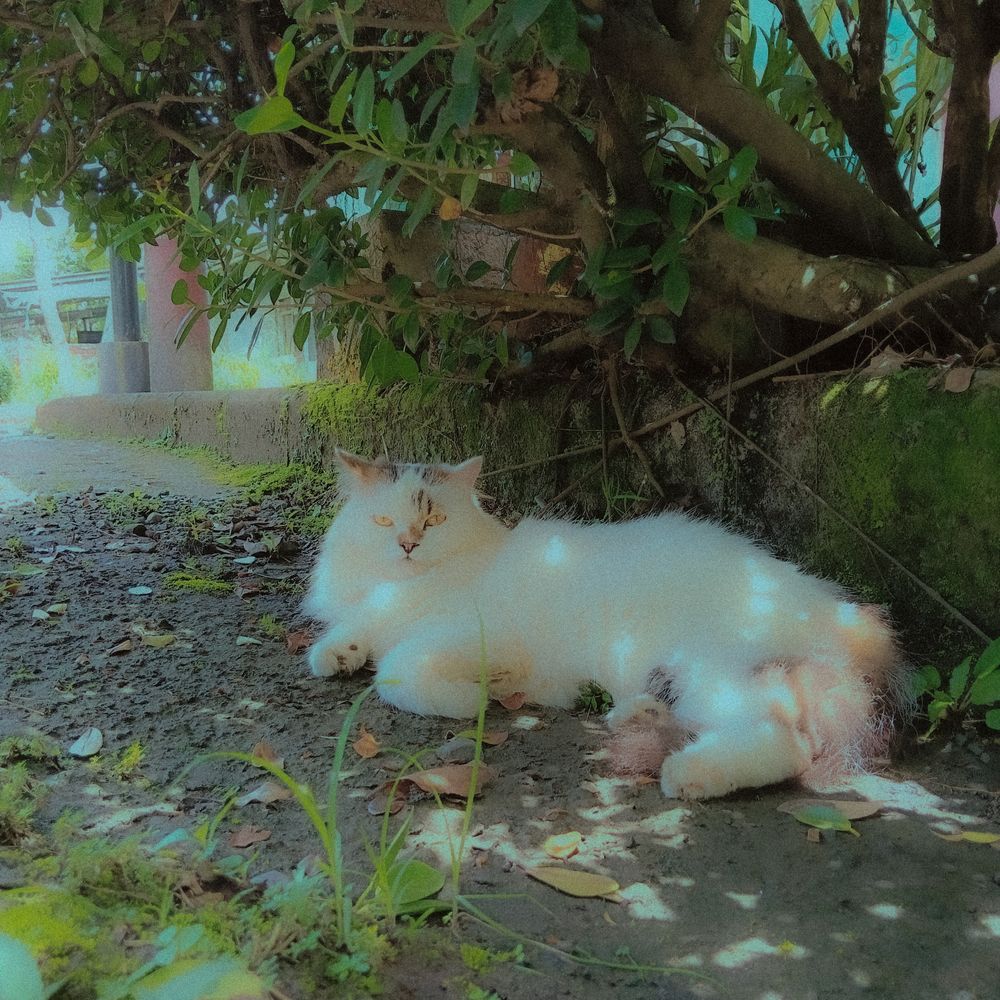 Post photo 6