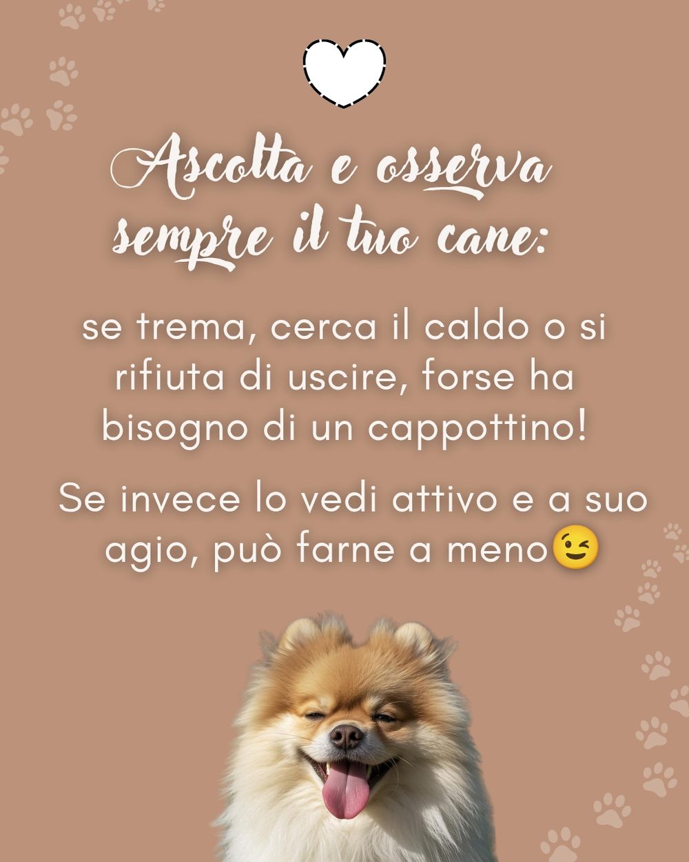 Post photo 7