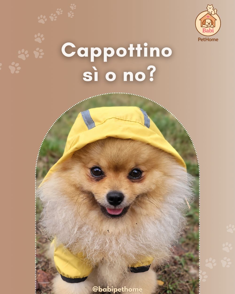 Il cappottino non è moda.
È ascolto. È attenzione. È rispetto. 🐾🧥
Non esiste una regola valida per tutti: ogni cane è un mondo a sé.
C’è chi trema appena esce, chi cerca il caldo, chi invece corre felice anche a gennaio.
Il segreto è uno solo: osservare il tuo cane, sempre.
Se ha freddo, proteggerlo è un gesto d’amore.
Se è attivo e a suo agio, lasciarlo libero è altrettanto giusto. 🤍
Razza, età, pelo, fisicità, temperatura, umidità, movimento… tutto conta.
Il cappottino non si mette “perché è carino”, ma perché serve davvero.
Qui non seguiamo le mode.
Seguiamo i segnali che ci mandano loro. 🐶✨
E quando impari ad ascoltare il tuo cane, sai sempre cosa è meglio per lui.
Ti sei mai chiesta se il tuo cane ha davvero bisogno del cappottino?
Scrivimi, raccontami com’è fatto, come si comporta… lo capiamo insieme. 🧡