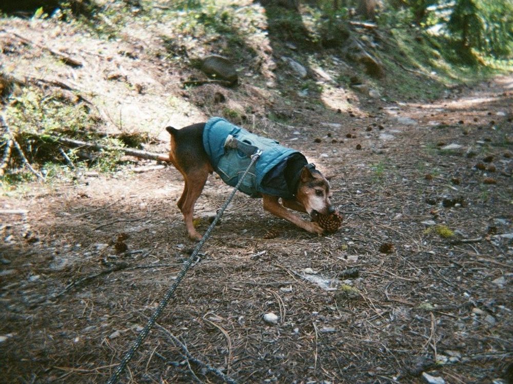 Post photo 3