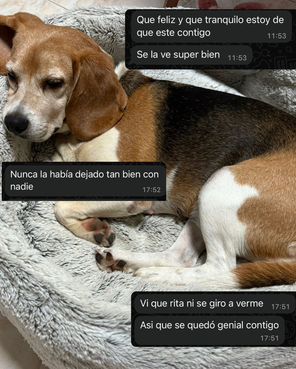 Post photo 5