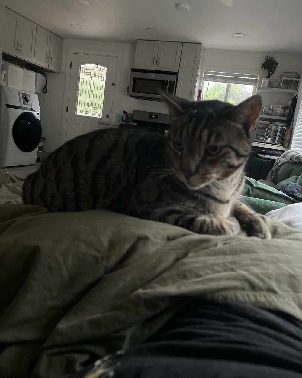 Post photo 5