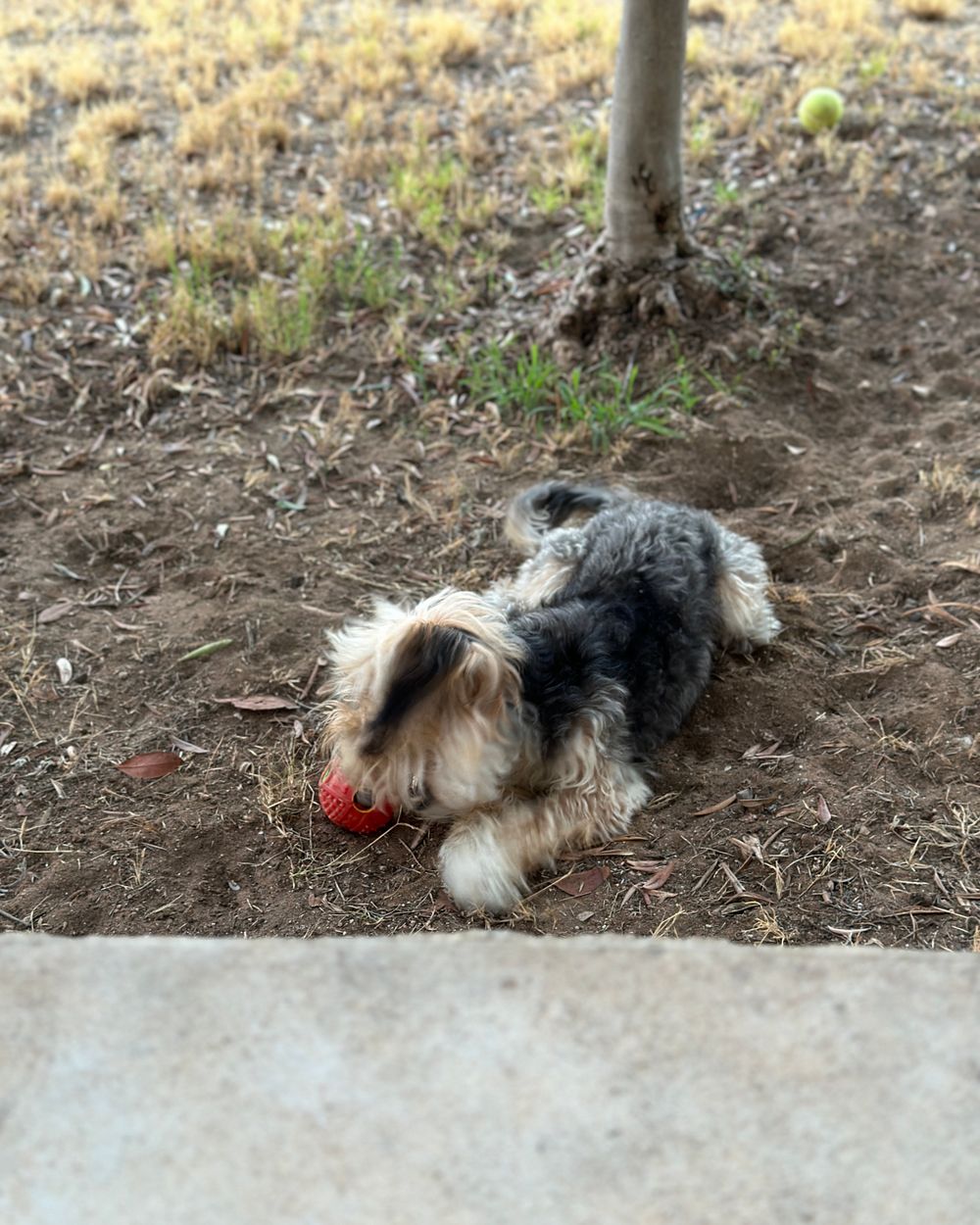 Post photo 5