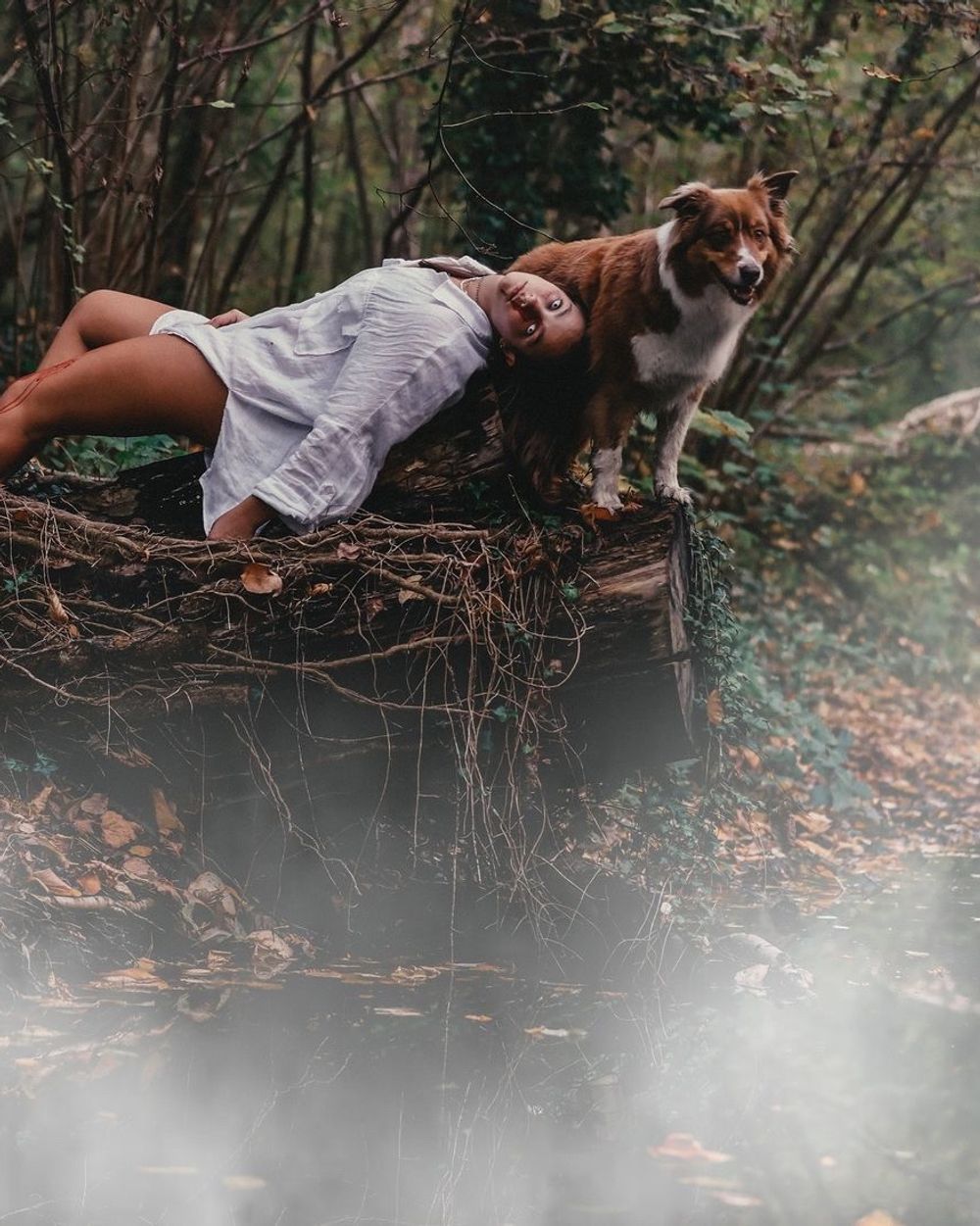 Post photo 3