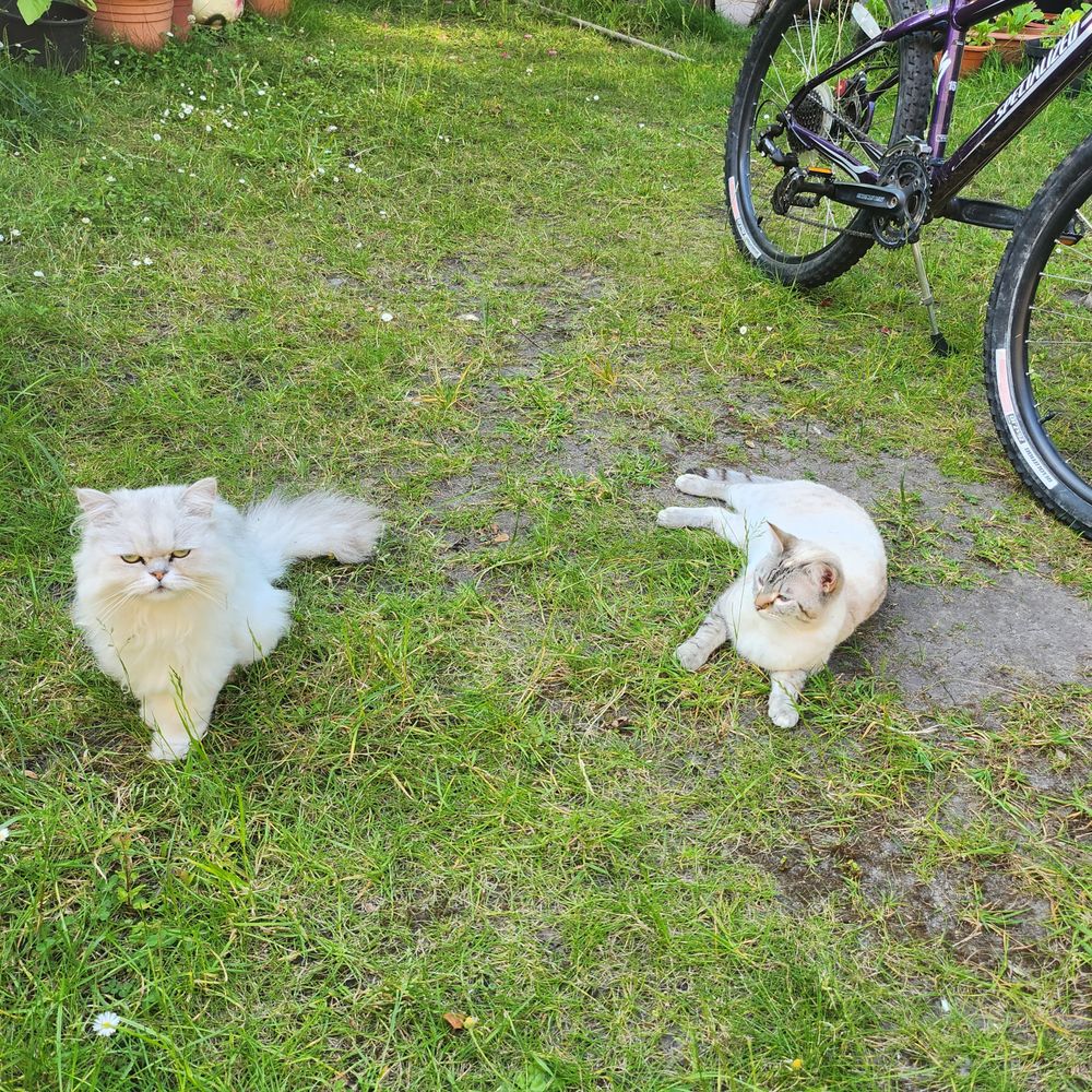 Post photo 5