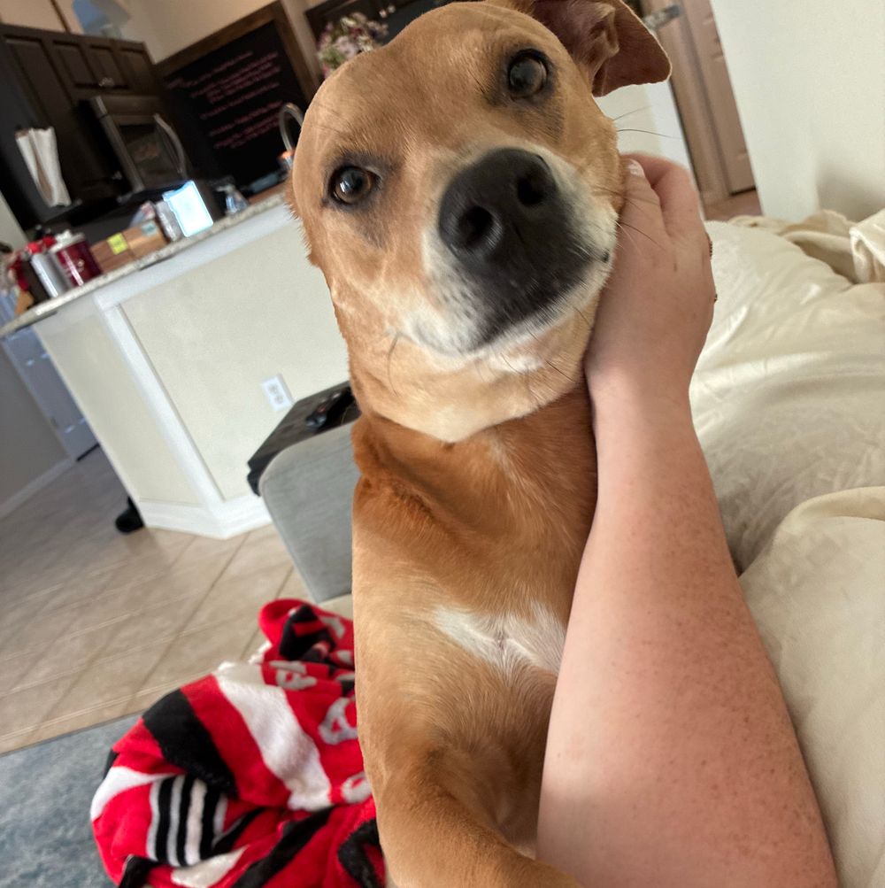 Post photo 6