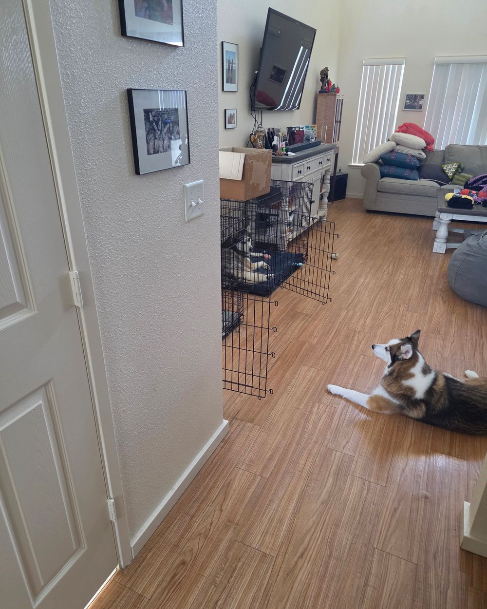 Post photo 2
