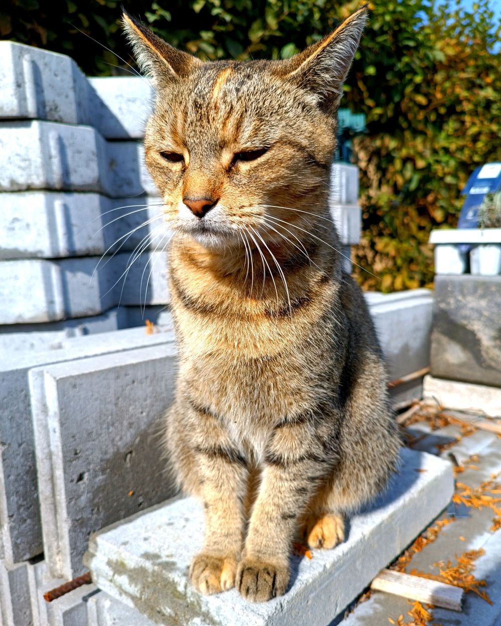 Post photo 3