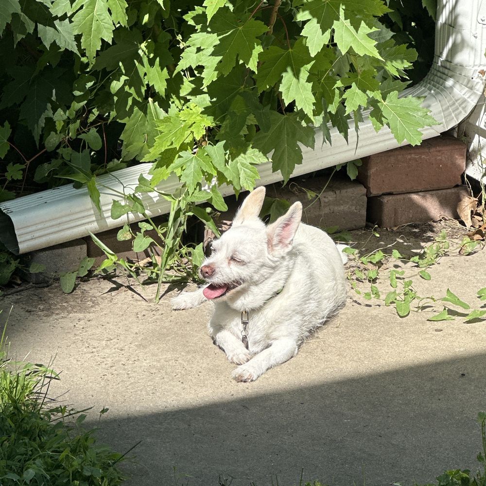 Post photo 3