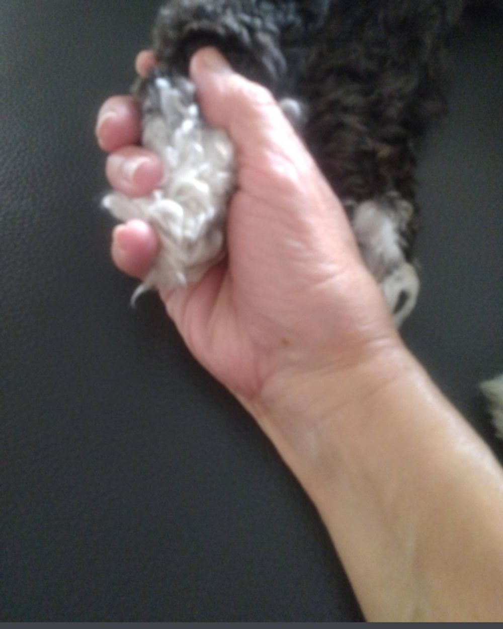 Post photo 2
