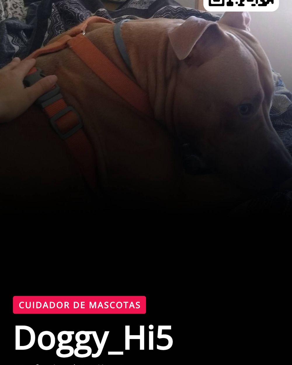 Post photo 3