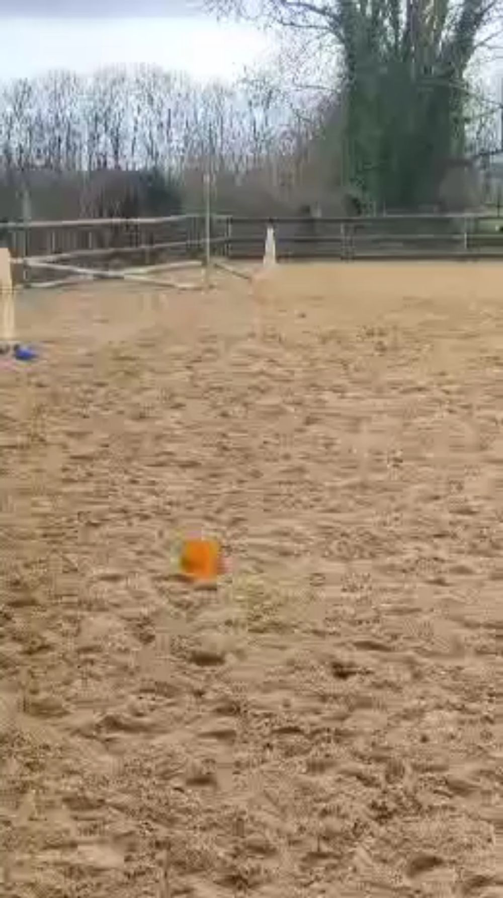 Je saute a l'équitation