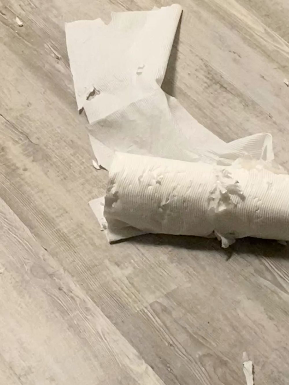 A post on Petme