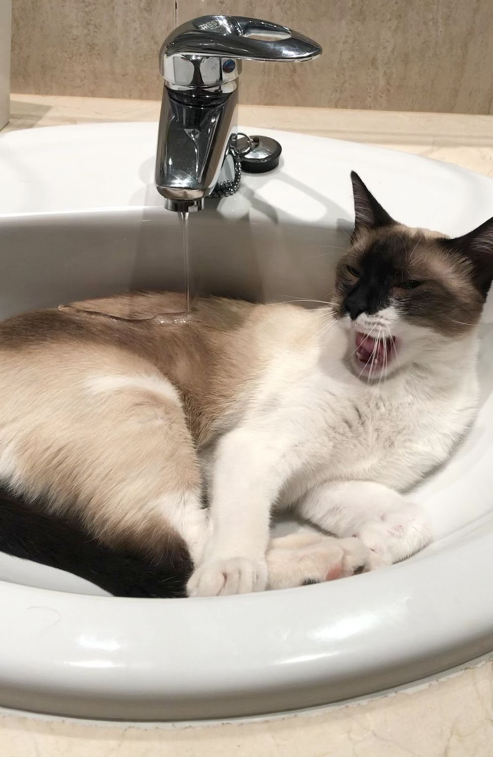 A post on Petme