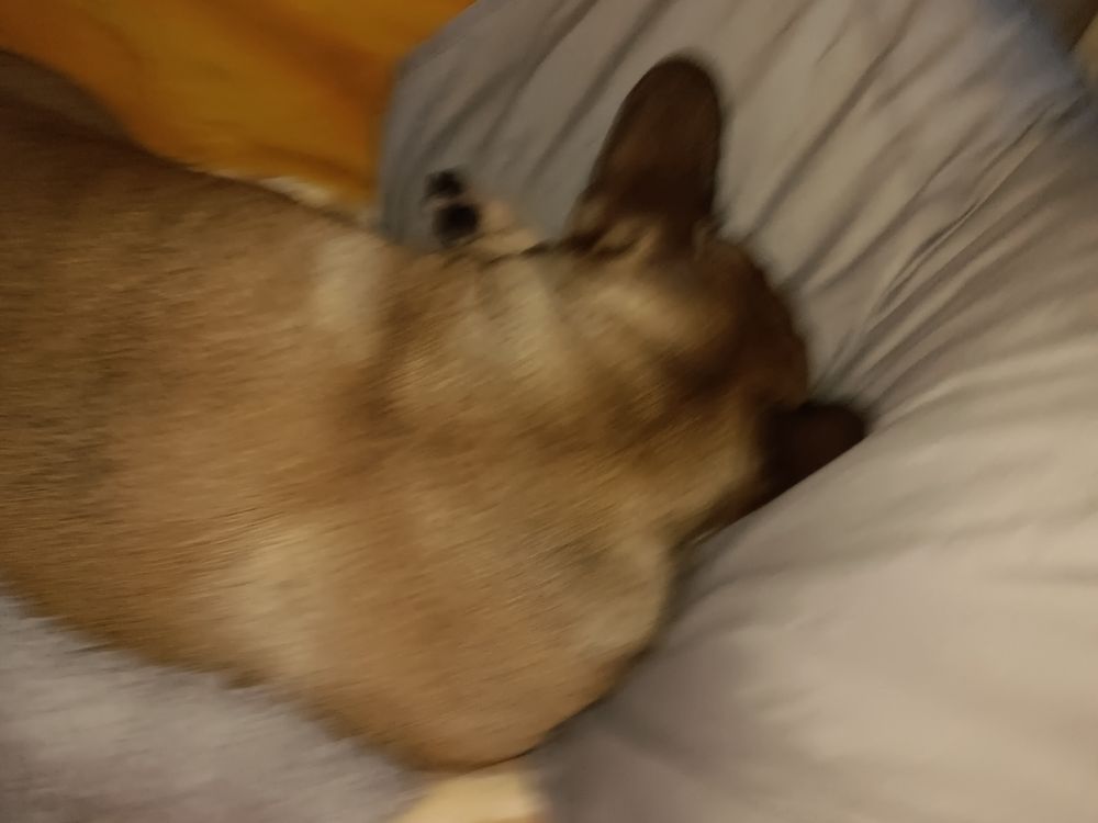 Post photo 4