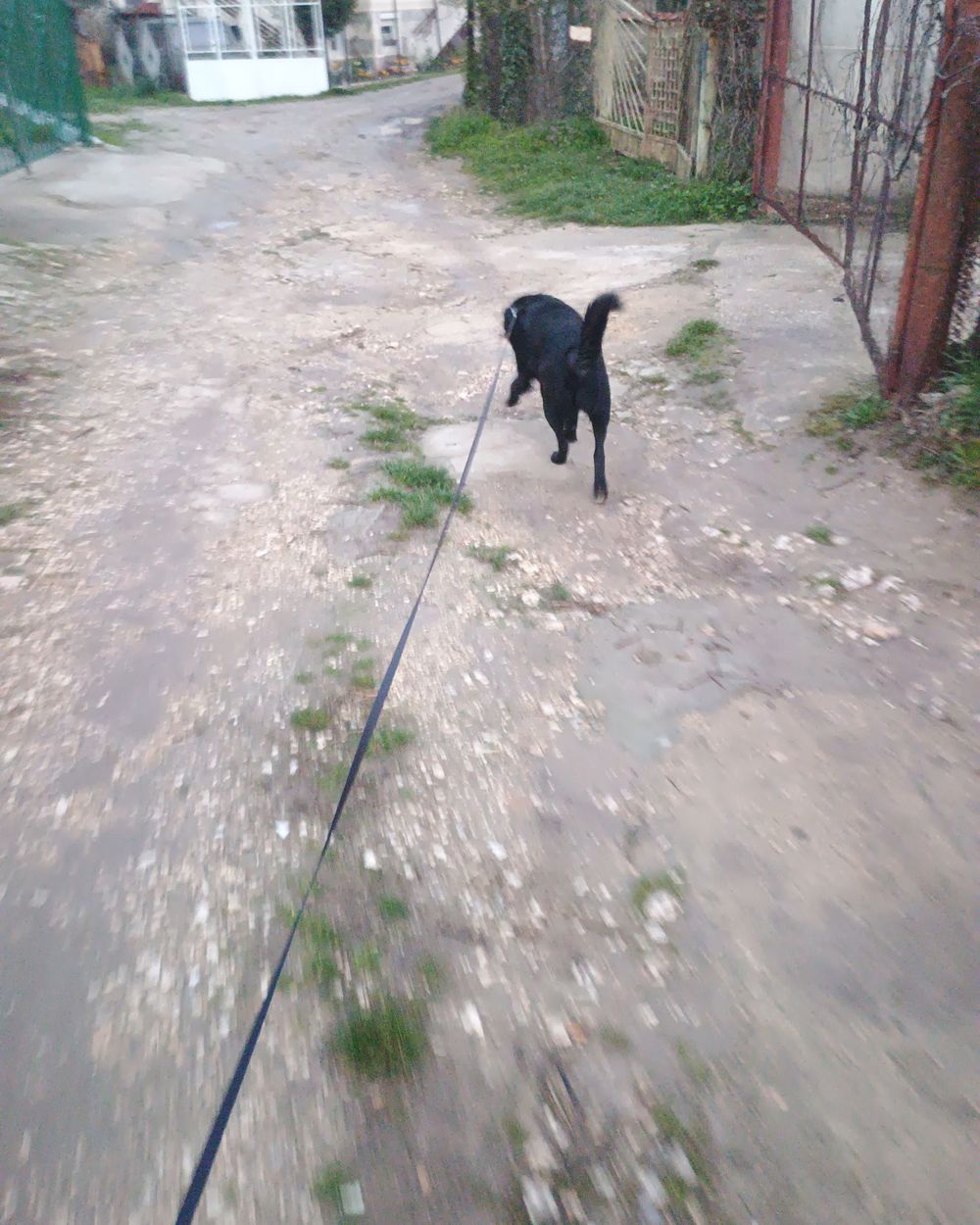 Post photo 2