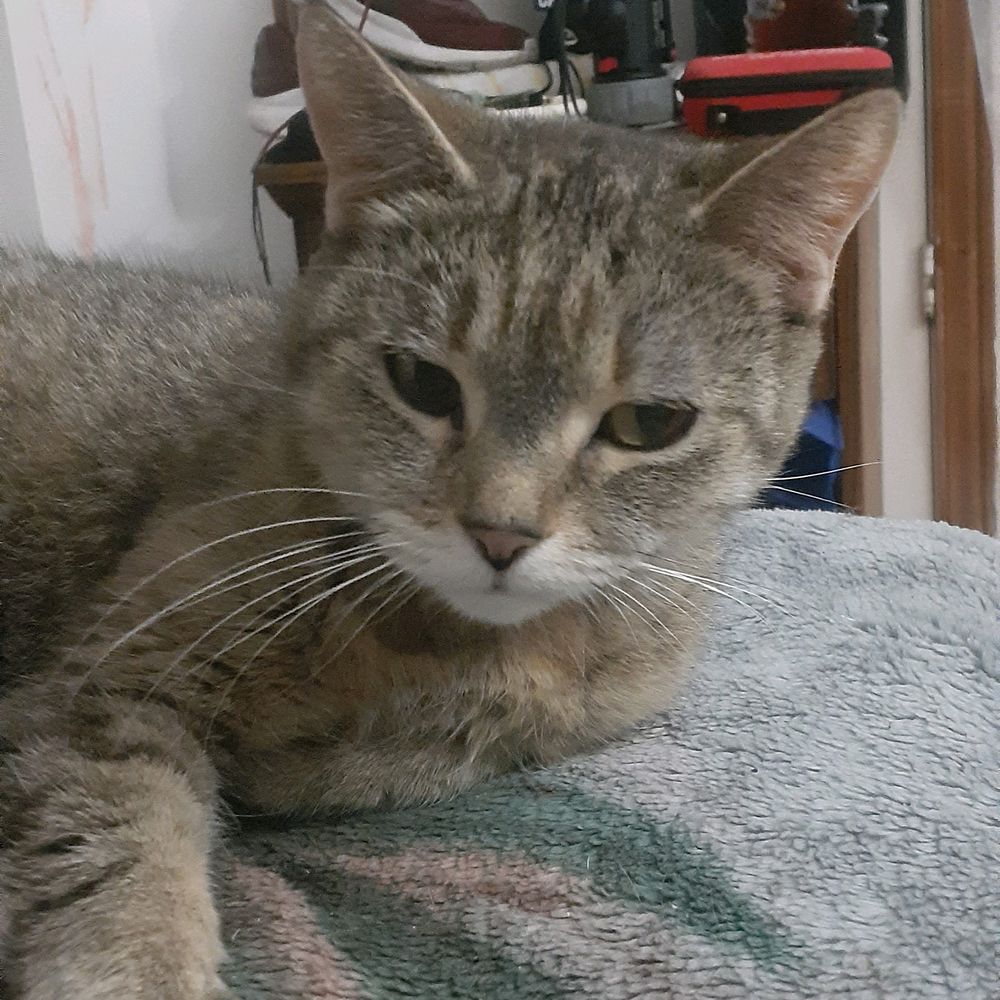 Post photo 3