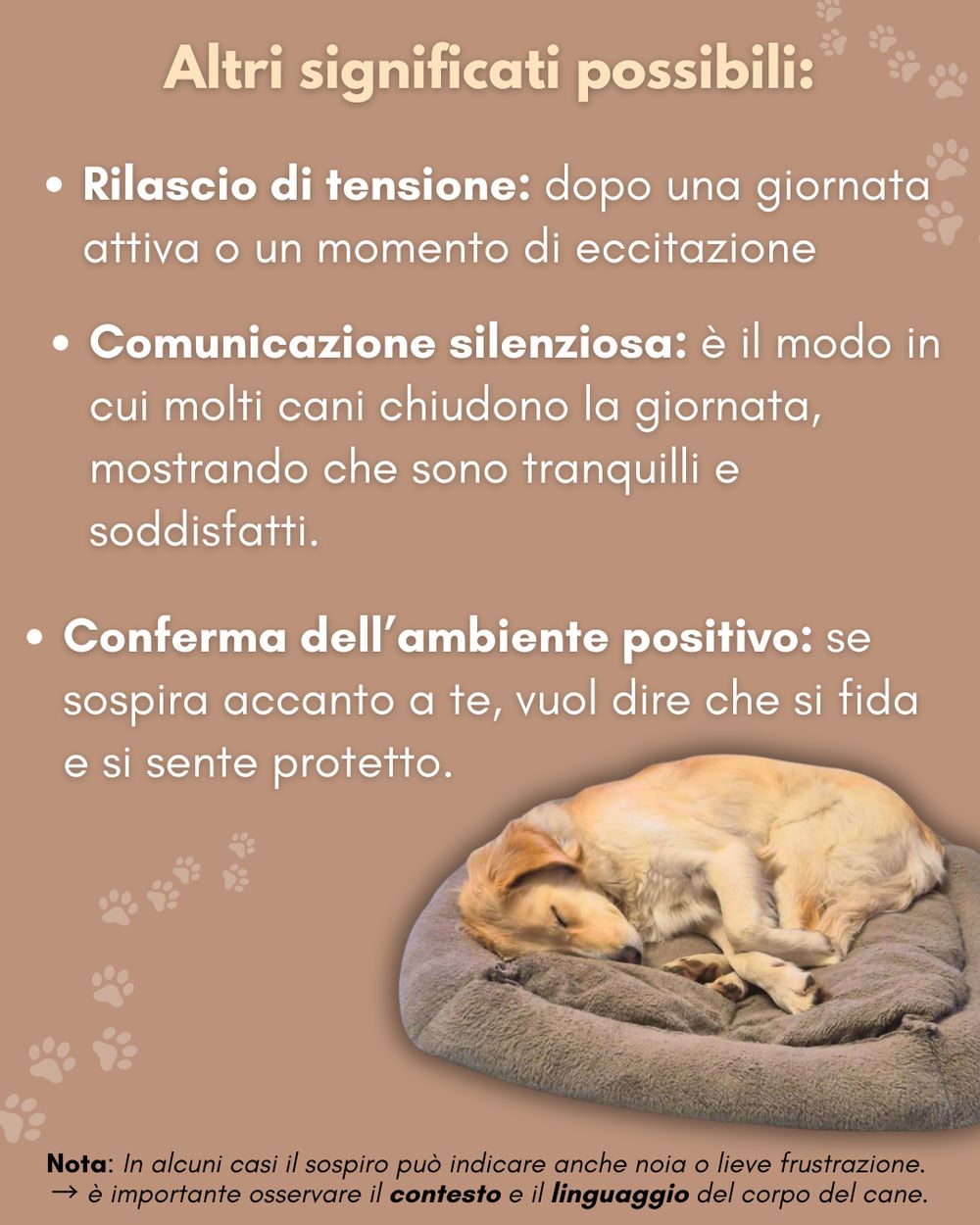 Post photo 3