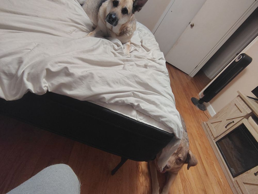 Post photo 4