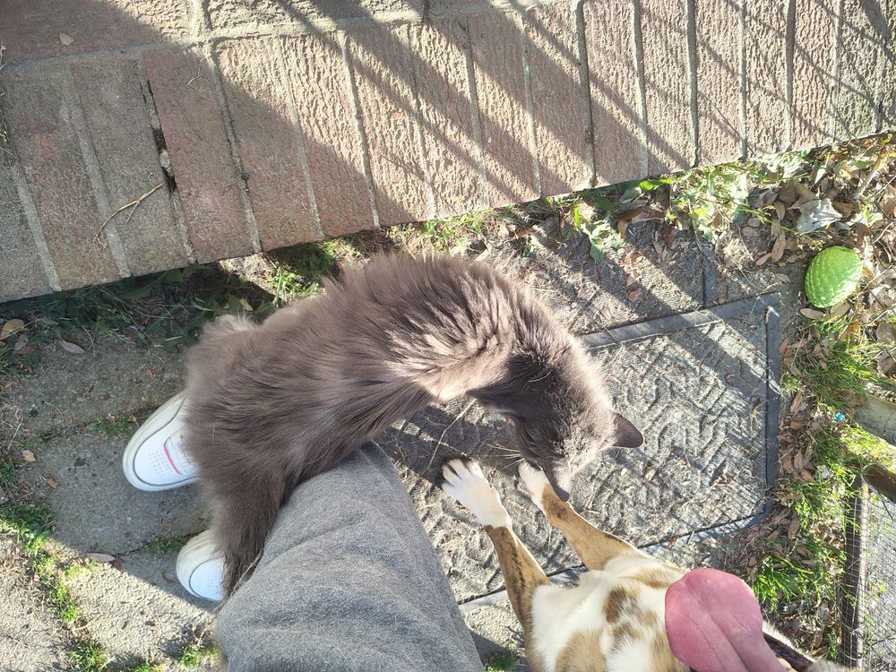 Post photo 7