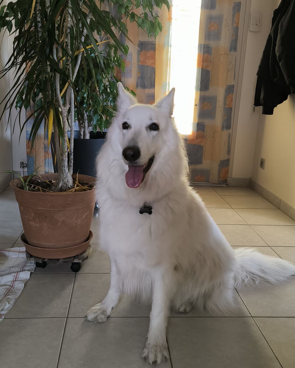 Post photo 6