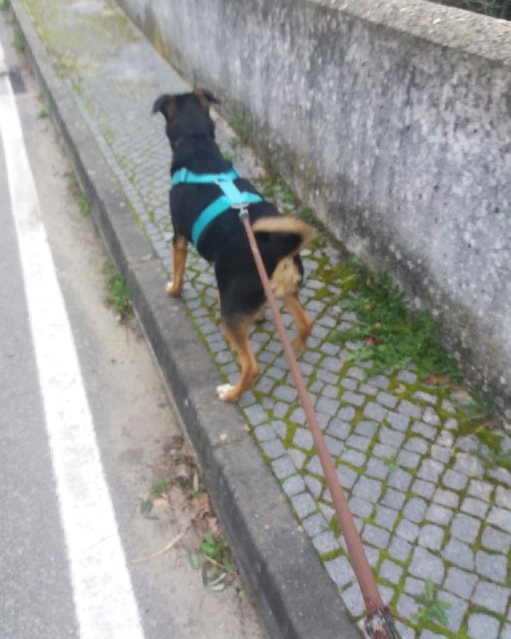 Post photo 2