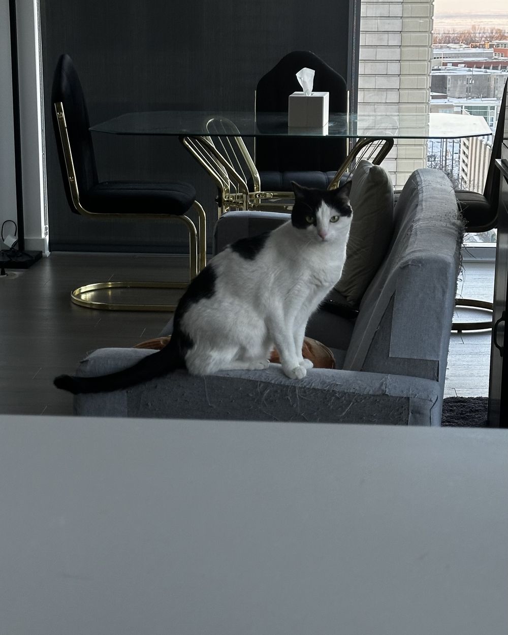 Post photo 2
