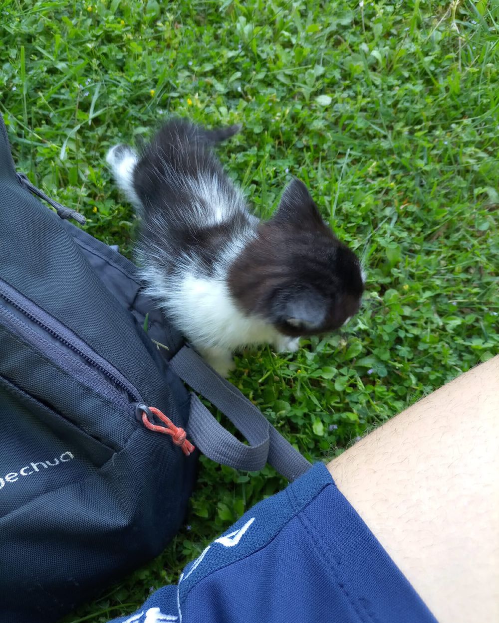 Post photo 3