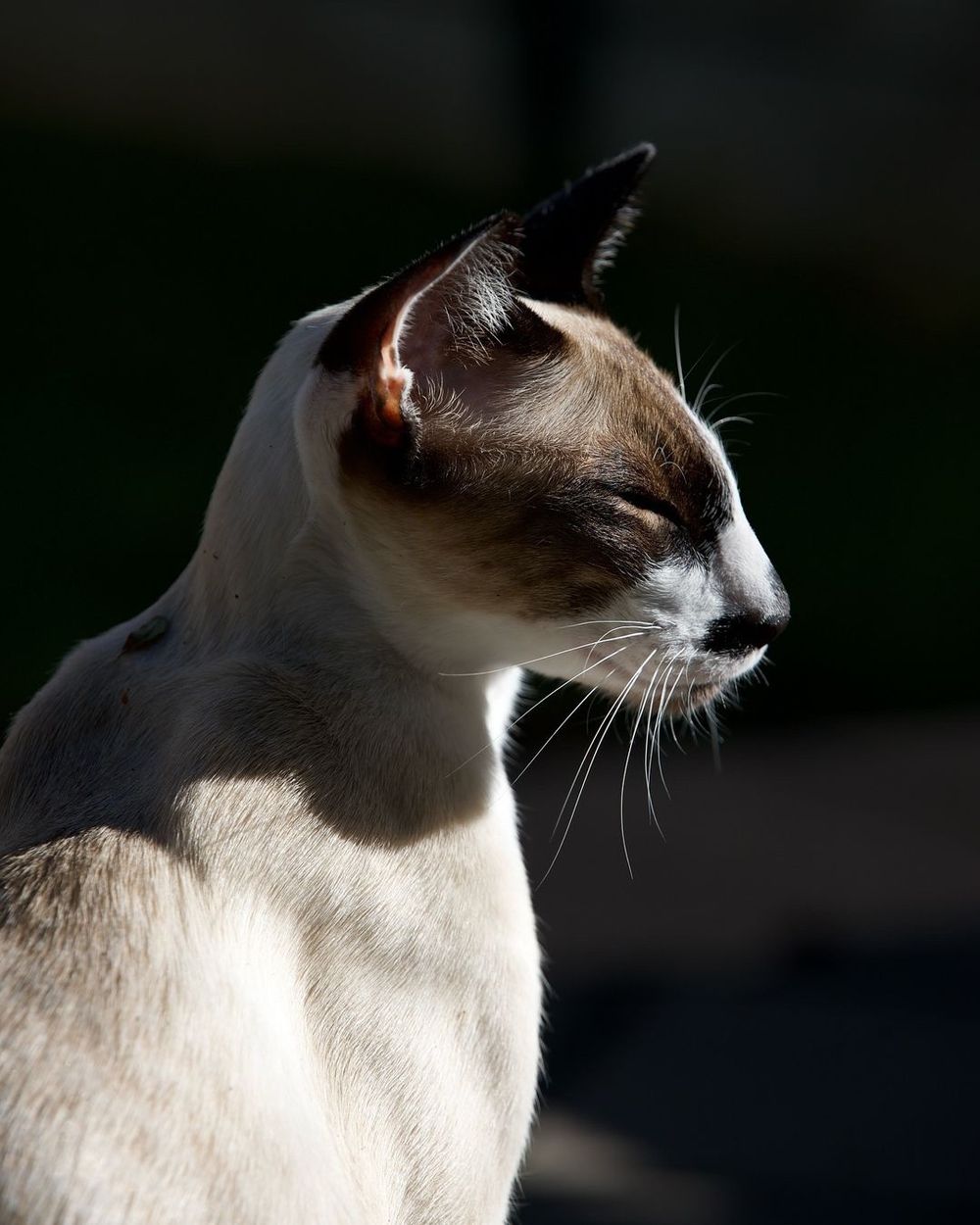 Post photo 2