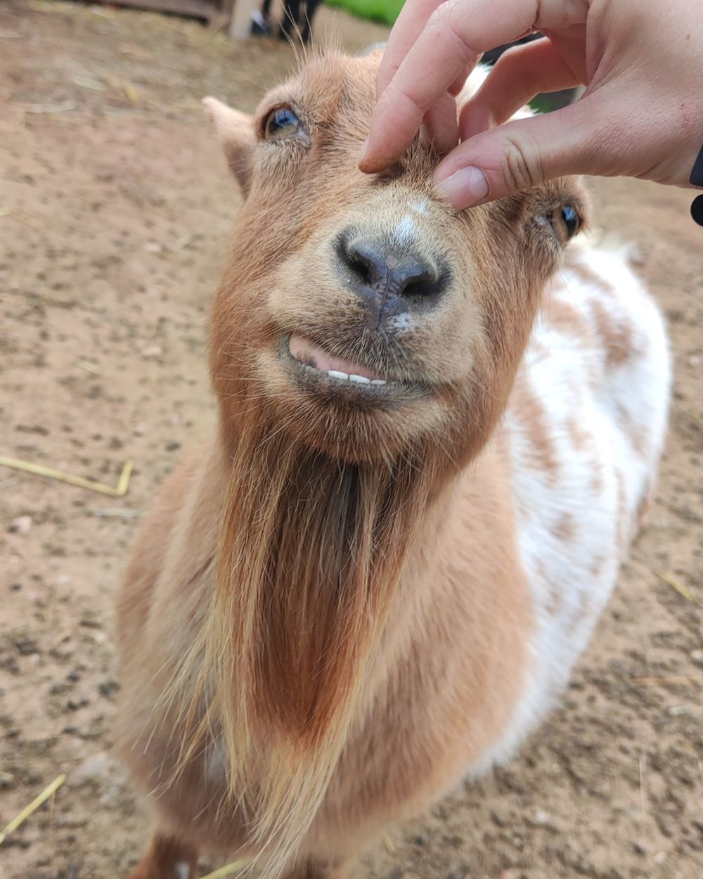 Post photo 8
