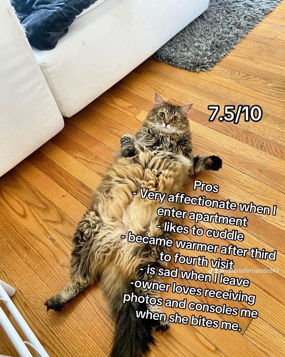 Post photo 9