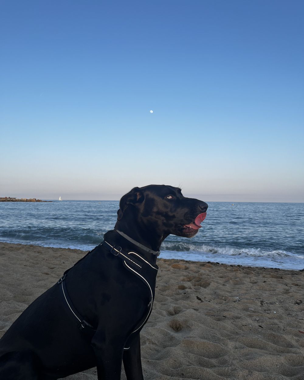 Post photo 5