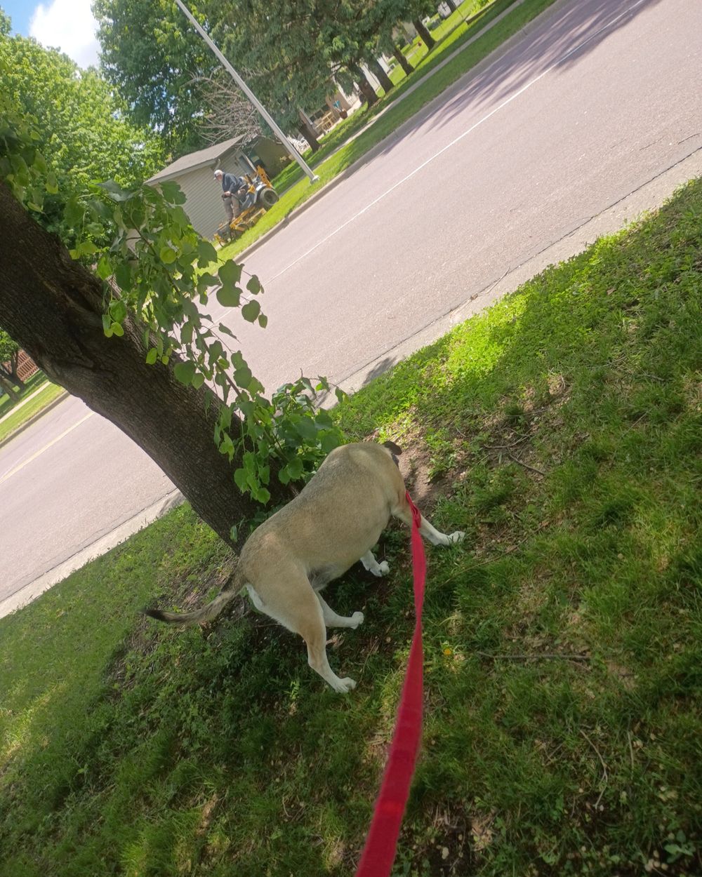 Post photo 8