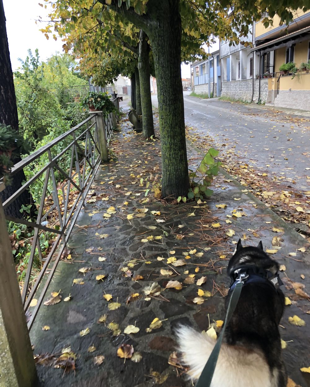 Post photo 2