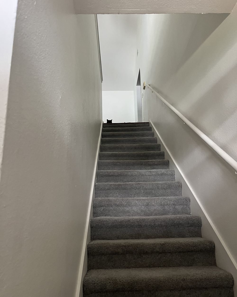 Post photo 3