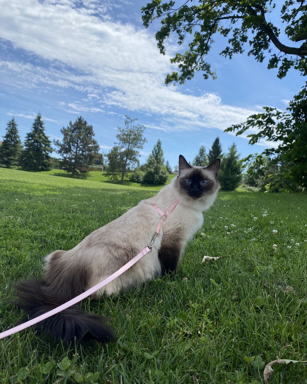 Post photo 3