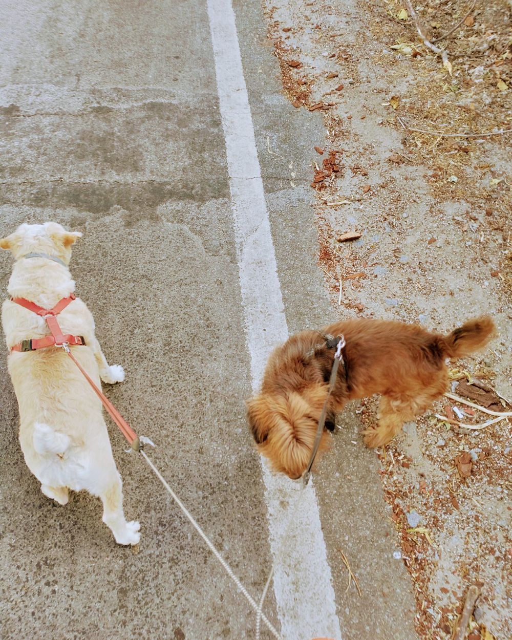 Post photo 5