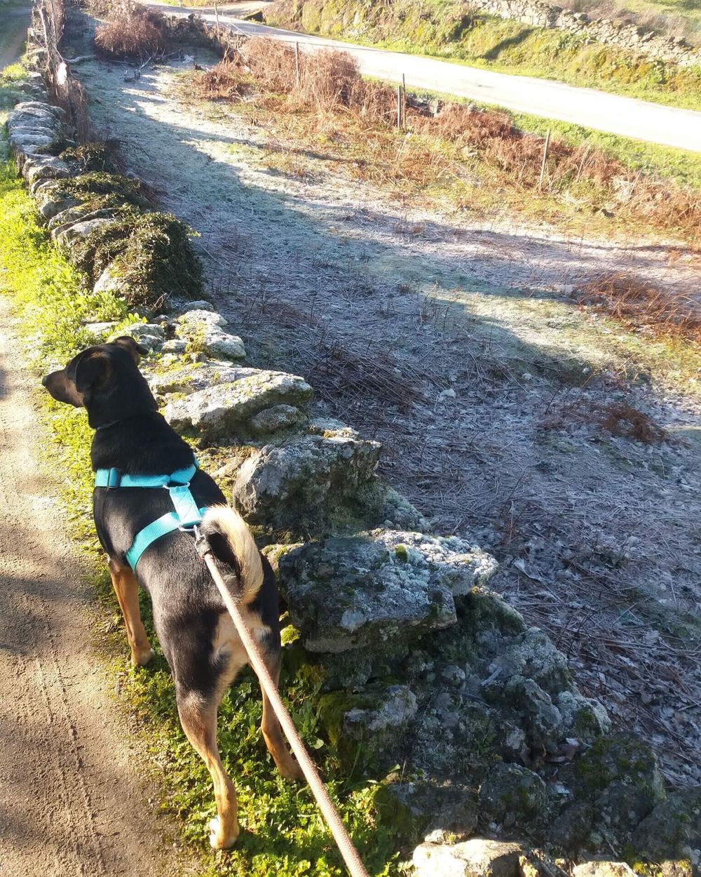 Post photo 3