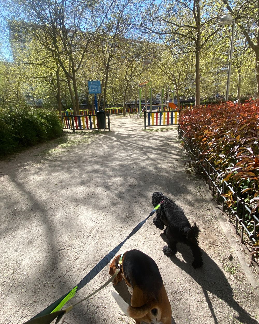 Post photo 5