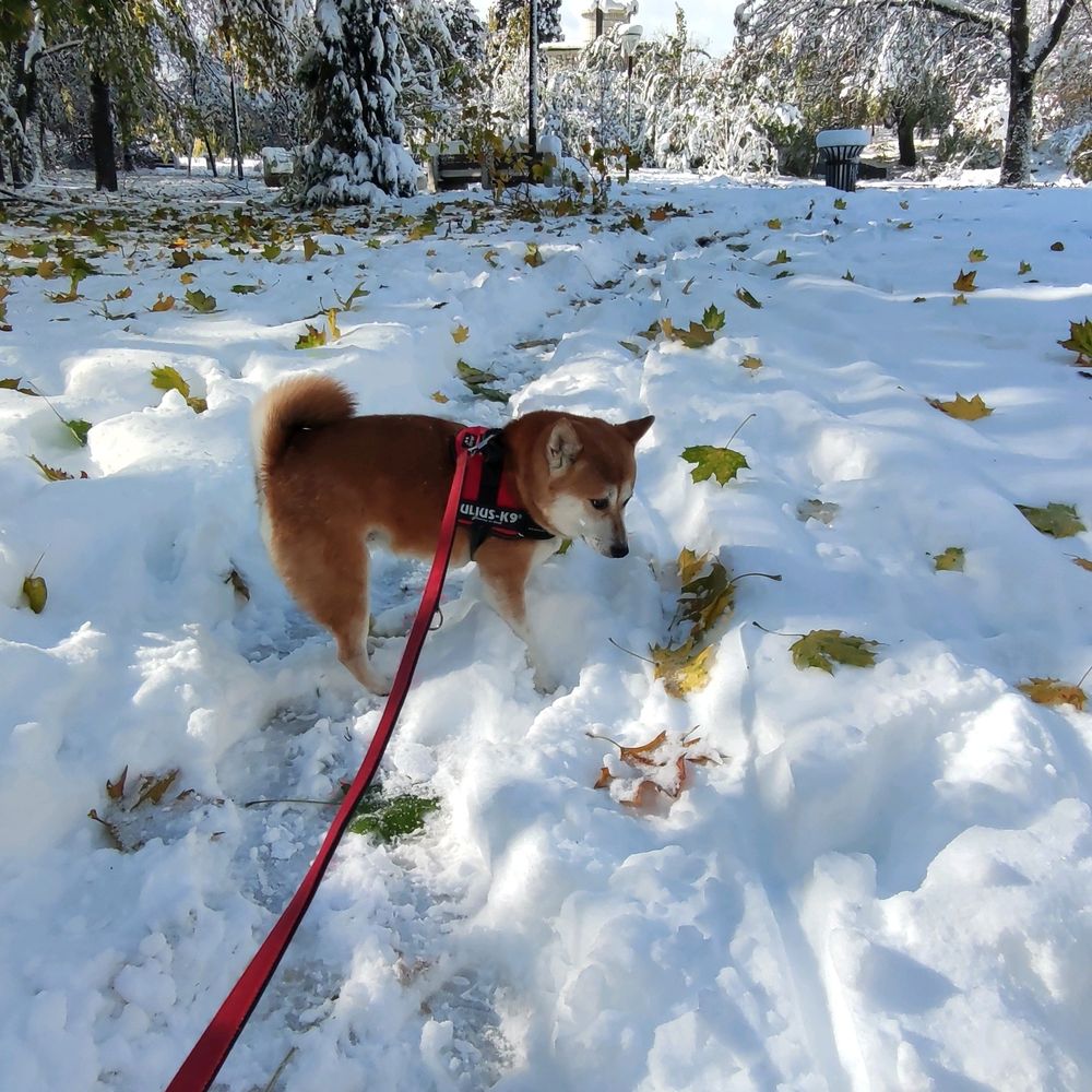 Post photo 3