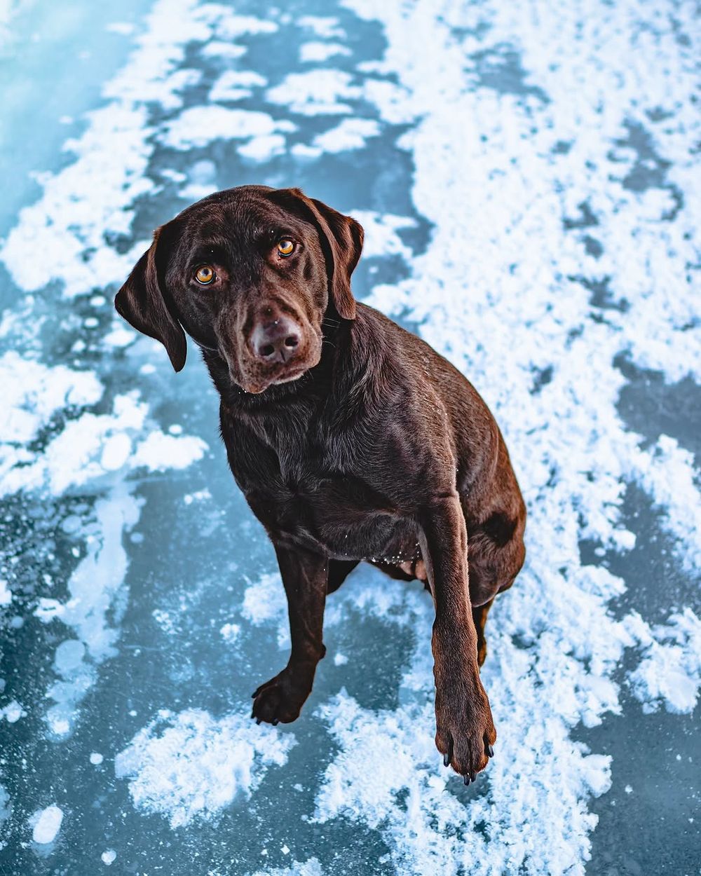 Post photo 3