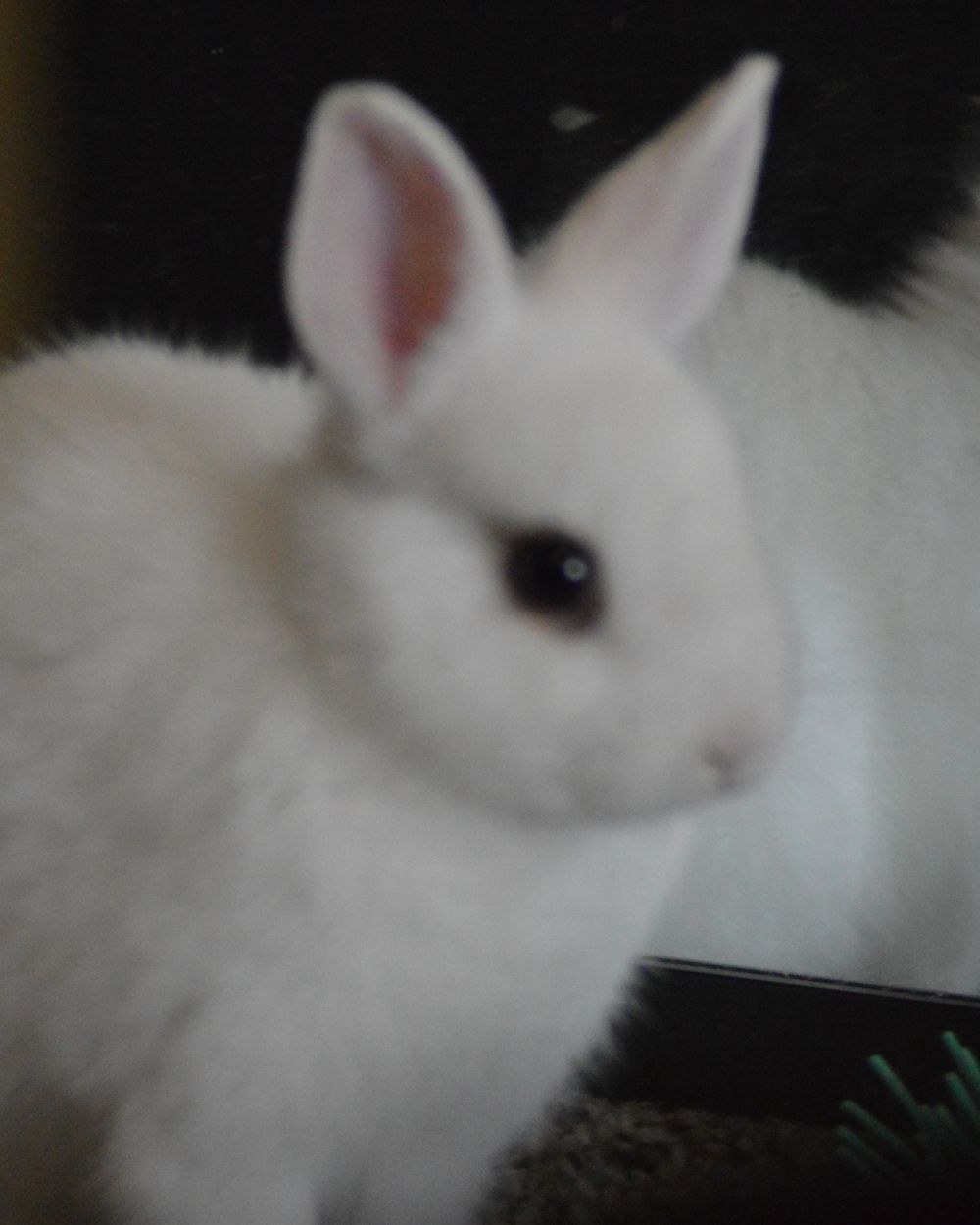 Post photo 5