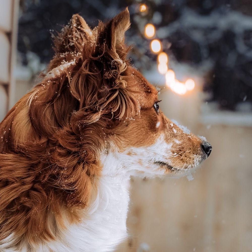 Post photo 2