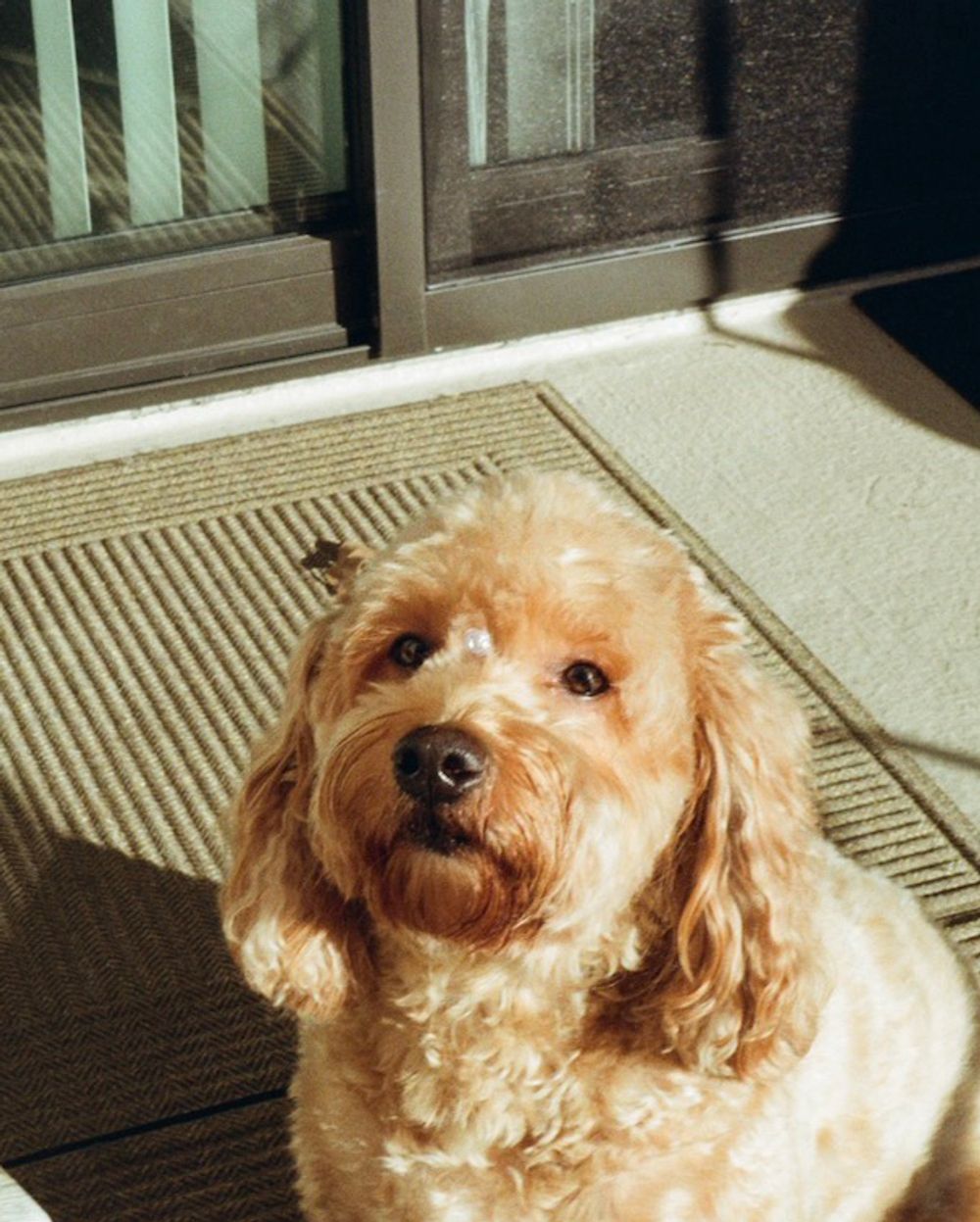 Post photo 2