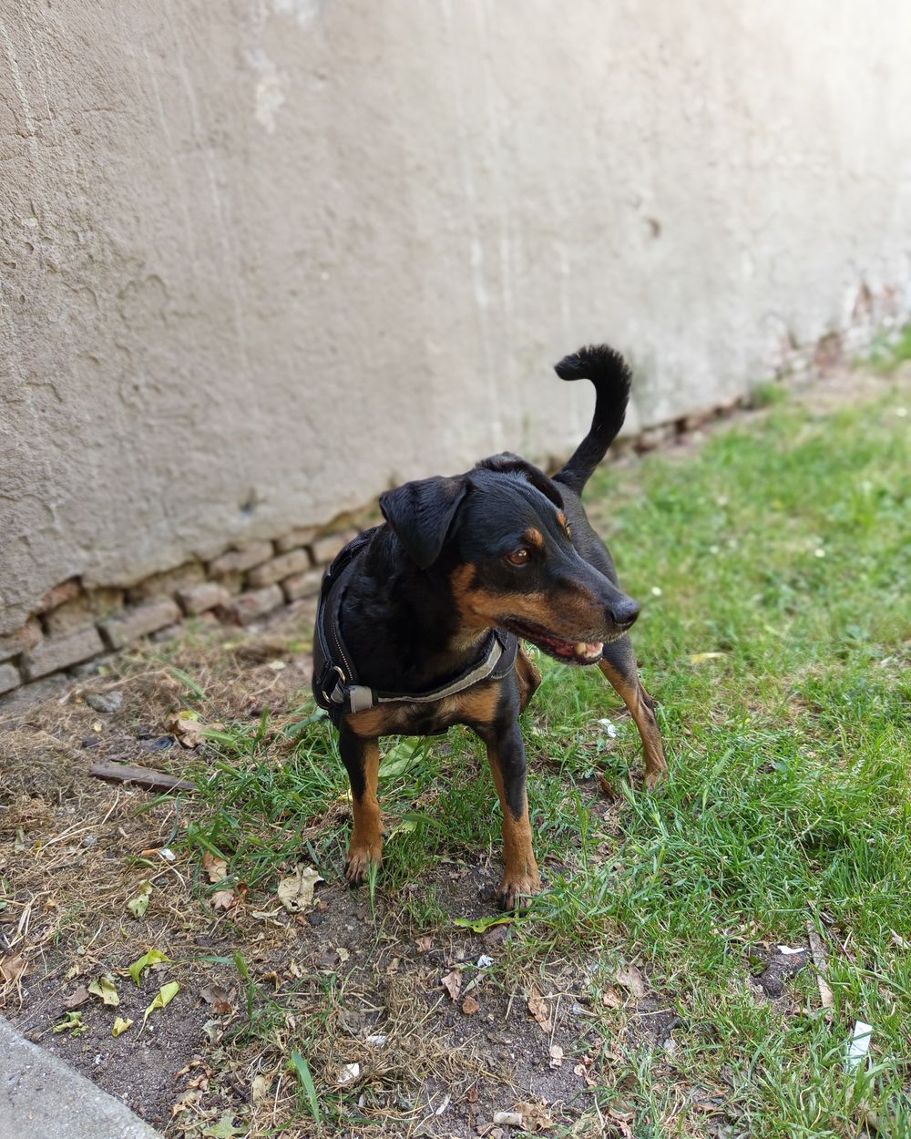 Post photo 4