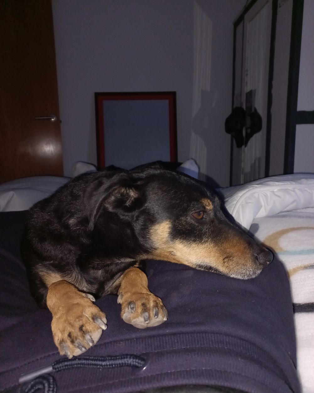 Post photo 6